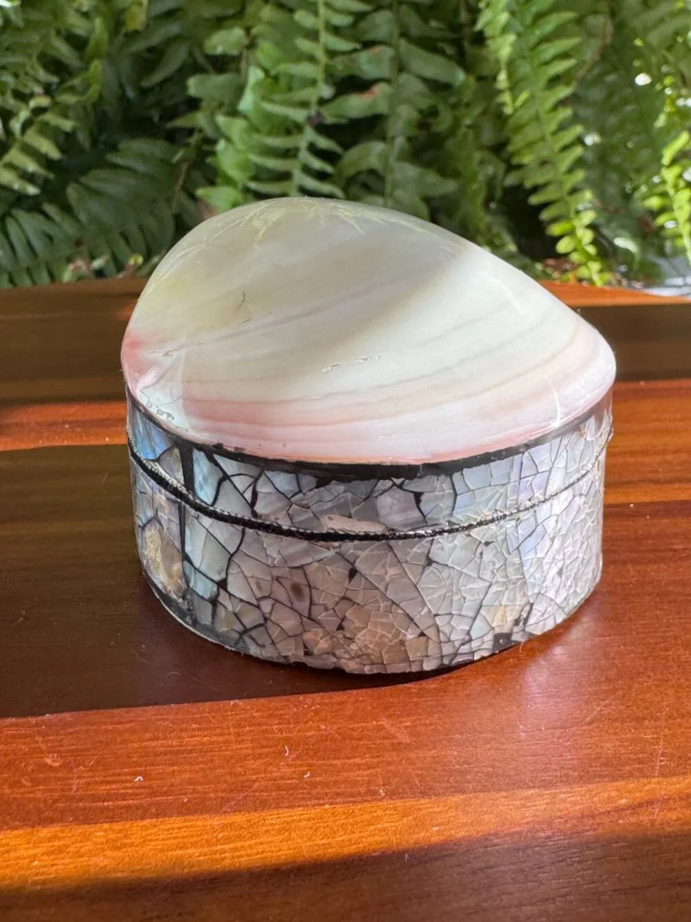 Abalone Shell Trinket Box – Iridescent Mosaic Jewellery Holder